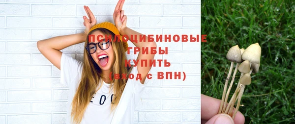 твердый Верхний Тагил
