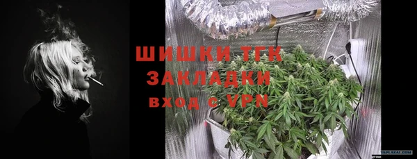 твердый Верхний Тагил