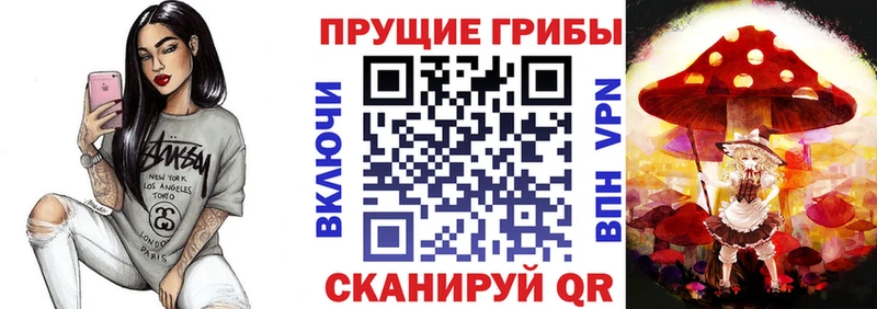 Галлюциногенные грибы мицелий  shop наркотические препараты  Гдов  даркнет сайт 